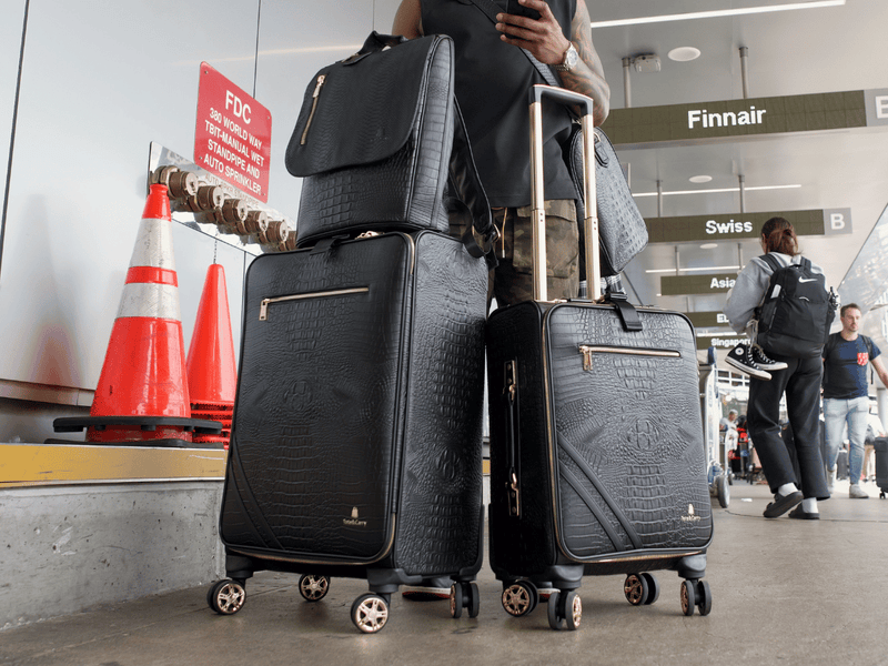 Statement 2-Piece Luggage Set in Black