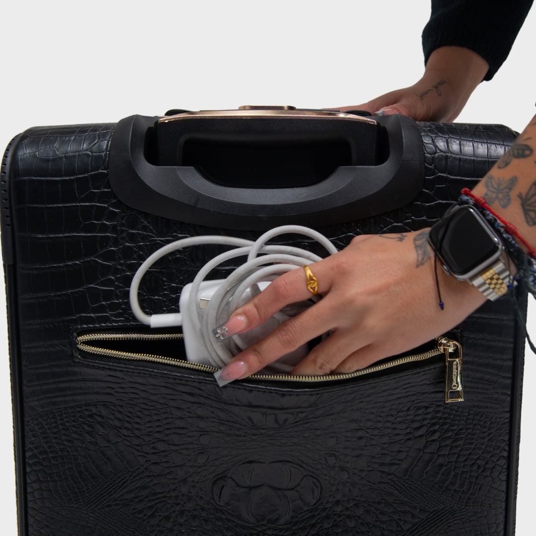 Statement 2-Piece Luggage Set in Black