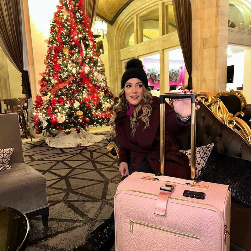 Signature 2-Piece Luggage Set in Pink