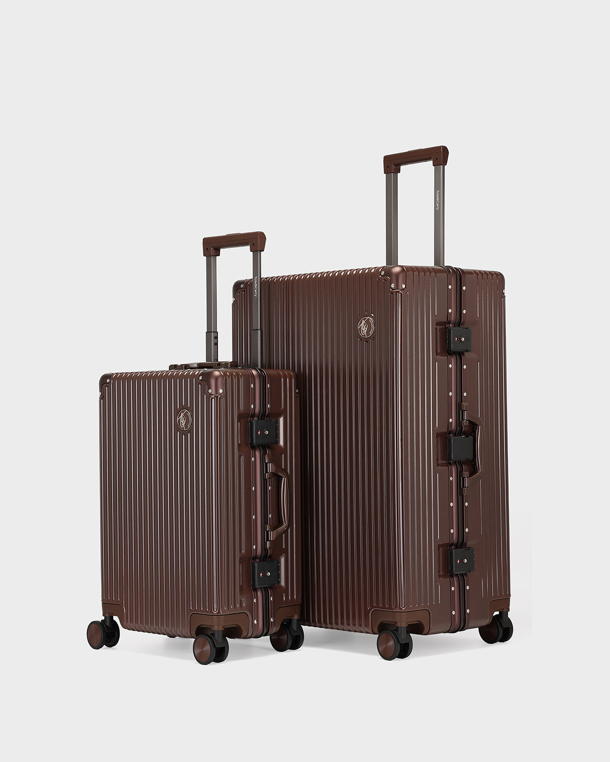 Alloy Elite 2PC Suitcase Set in Bronze