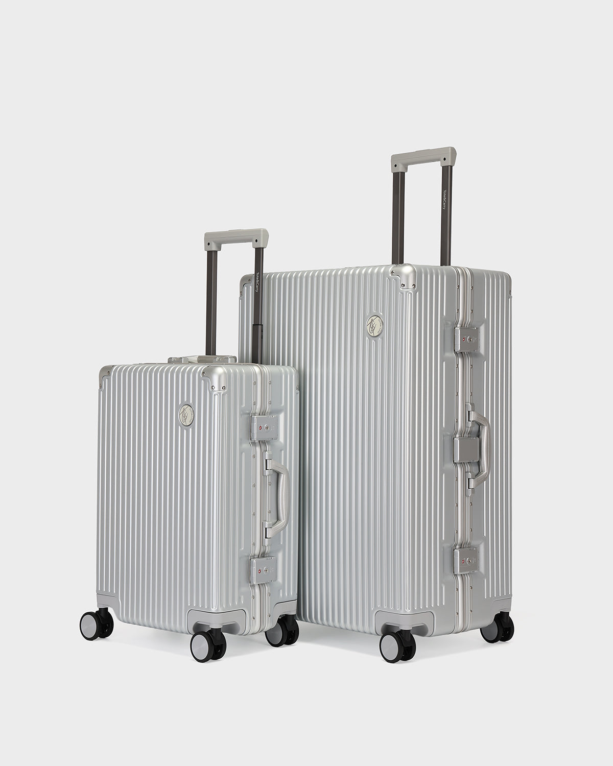 Alloy Elite 2PC Suitcase Set in Platinum Silver