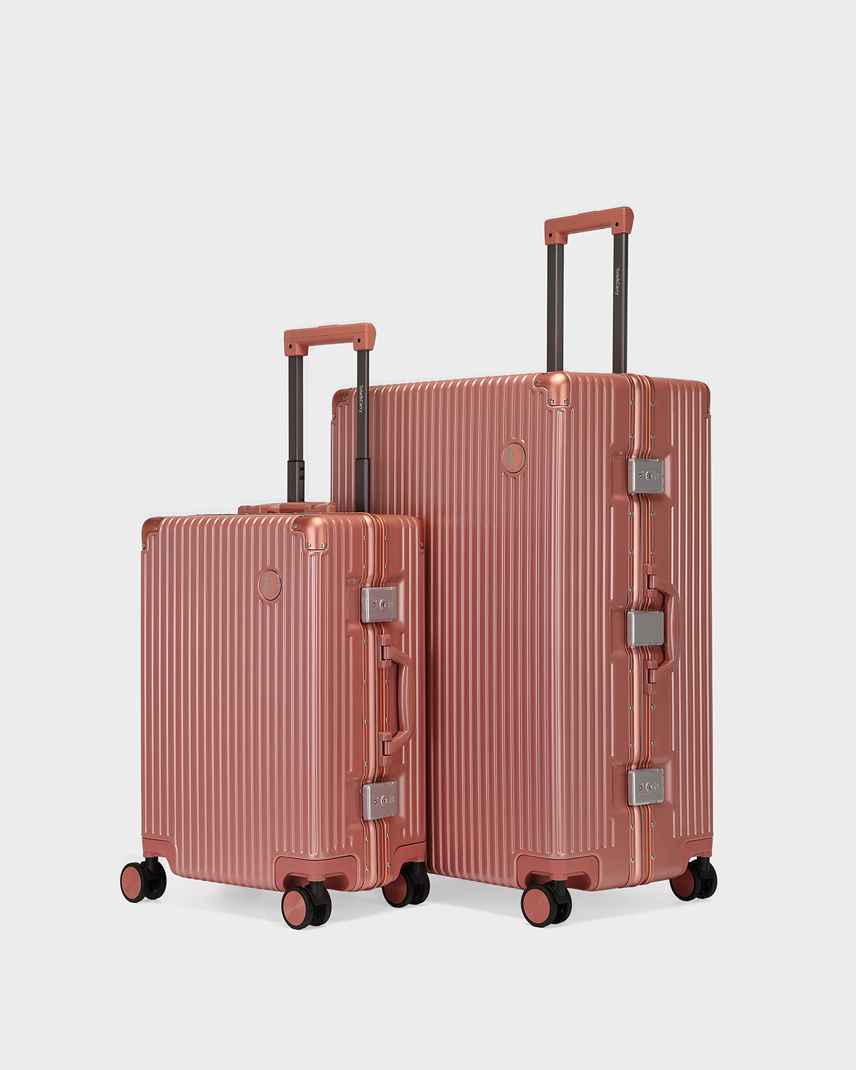 Alloy Elite 2PC Suitcase Set in Rose