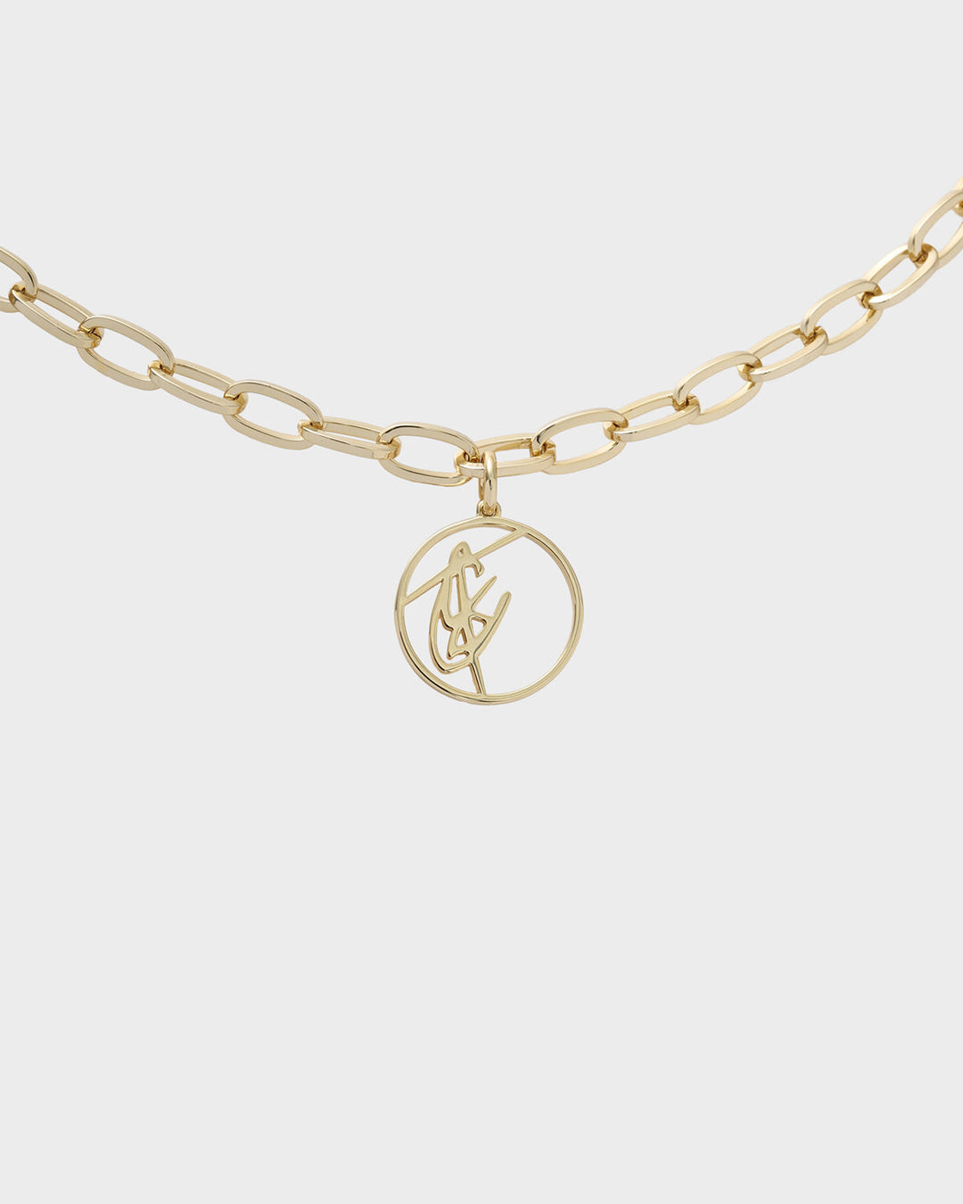 Charm Necklace in Gold