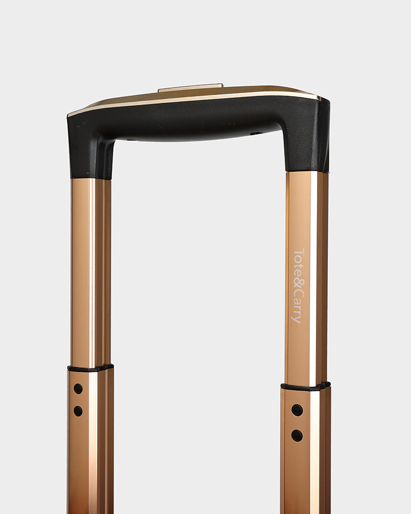 PY 2 Piece Suitcase Set in Brown