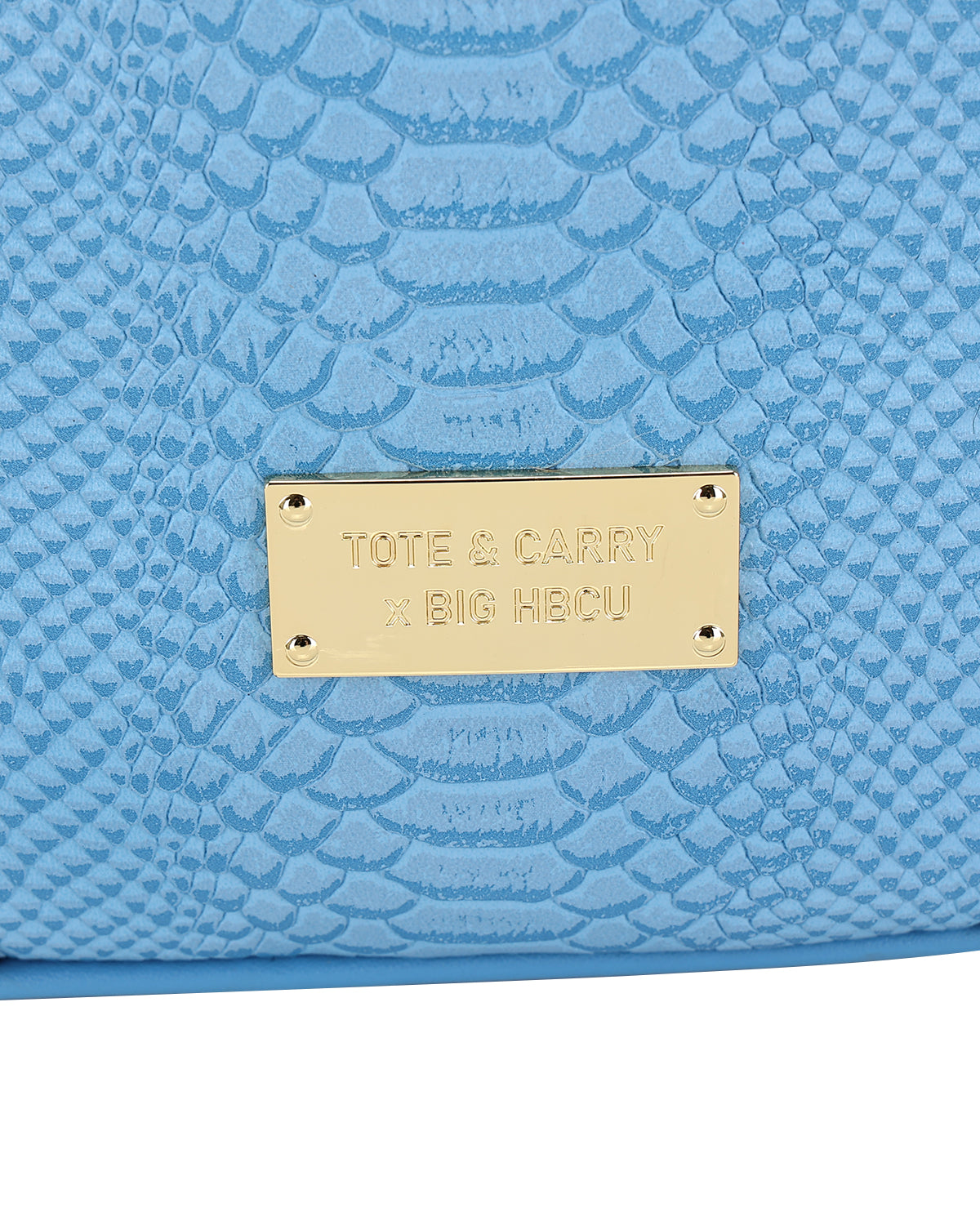 HBCU Varsity Backpack in Baby Blue 02