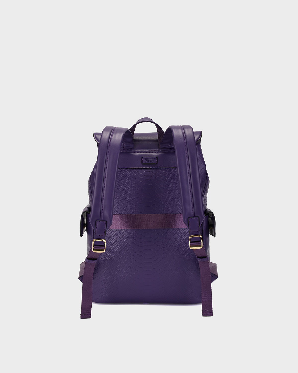 HBCU Varsity Backpack in Purple 08