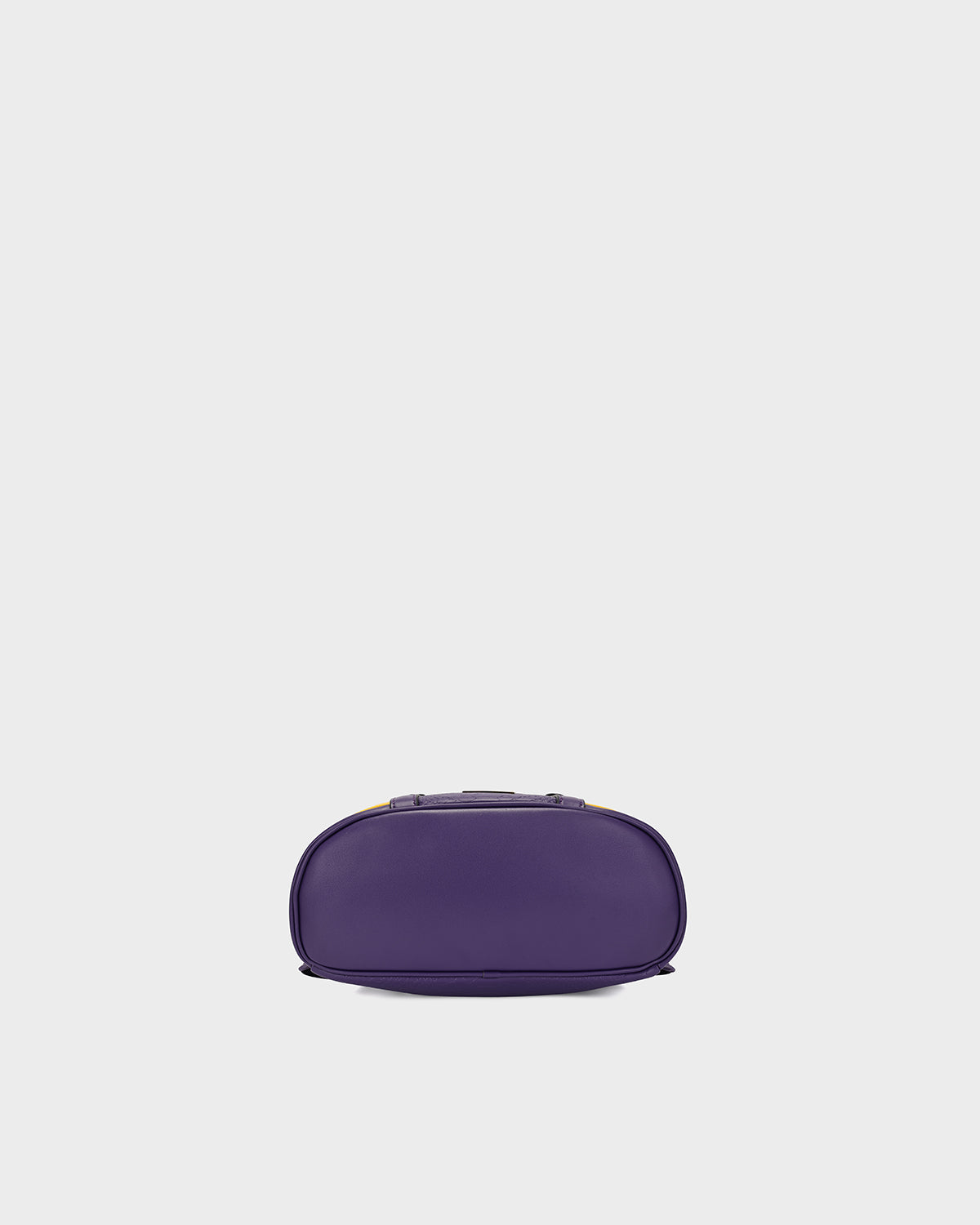 HBCU Varsity Backpack in Purple 10