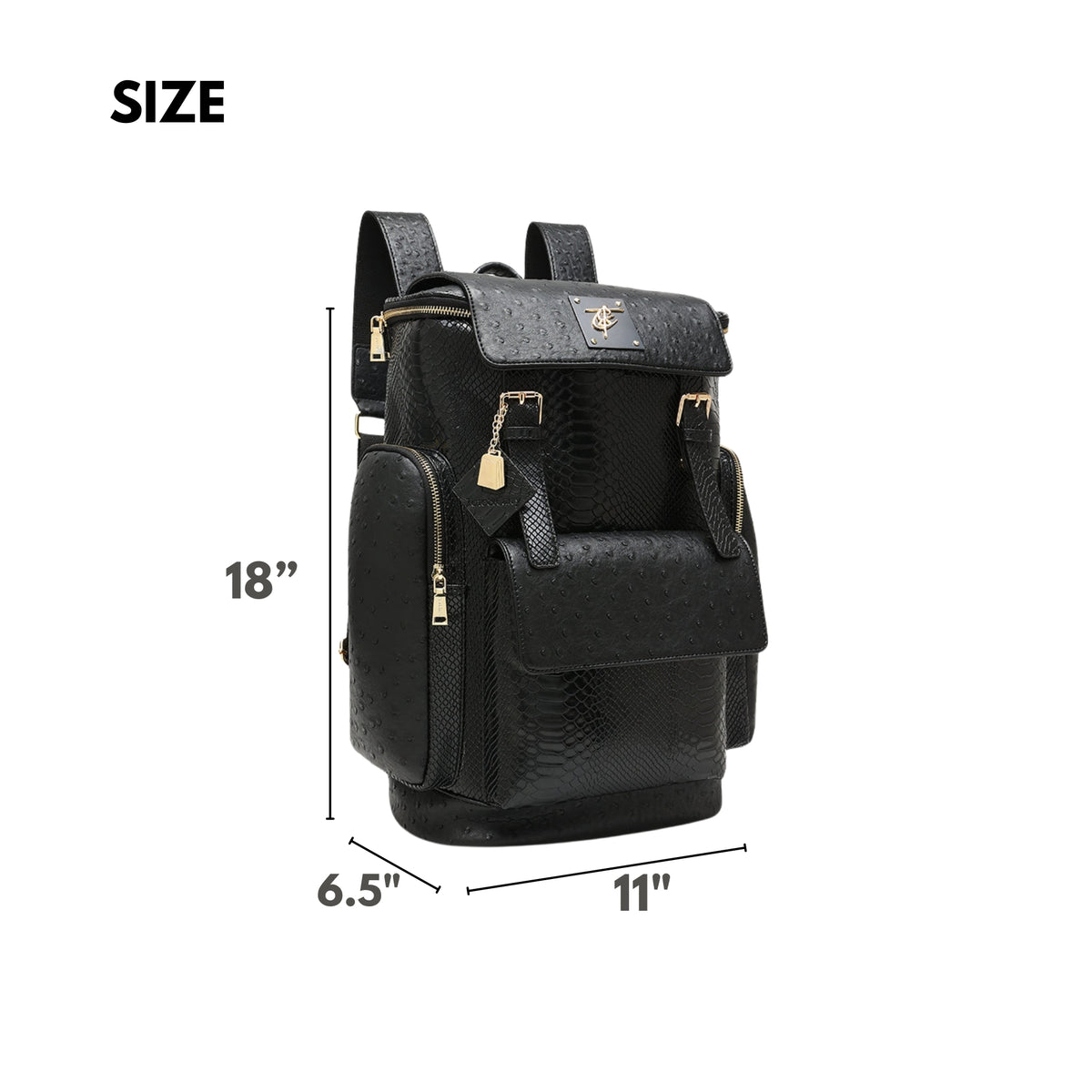 Tote&Carry Journey Multi-Pocket Backpack in Black — size, 18 x 11 x 6.5 inches