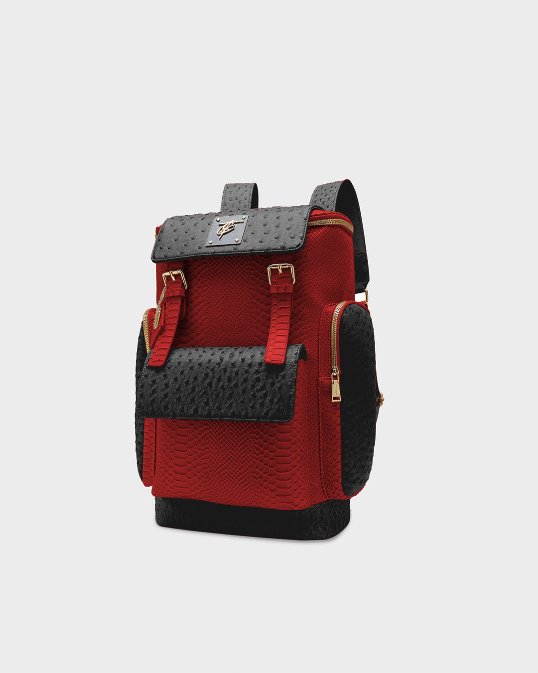 Journey Multi-Pocket Backpack in Black & Red