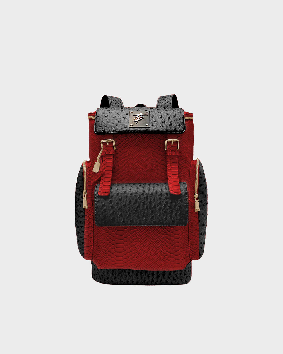 Journey Multi-Pocket Backpack in Black & Red