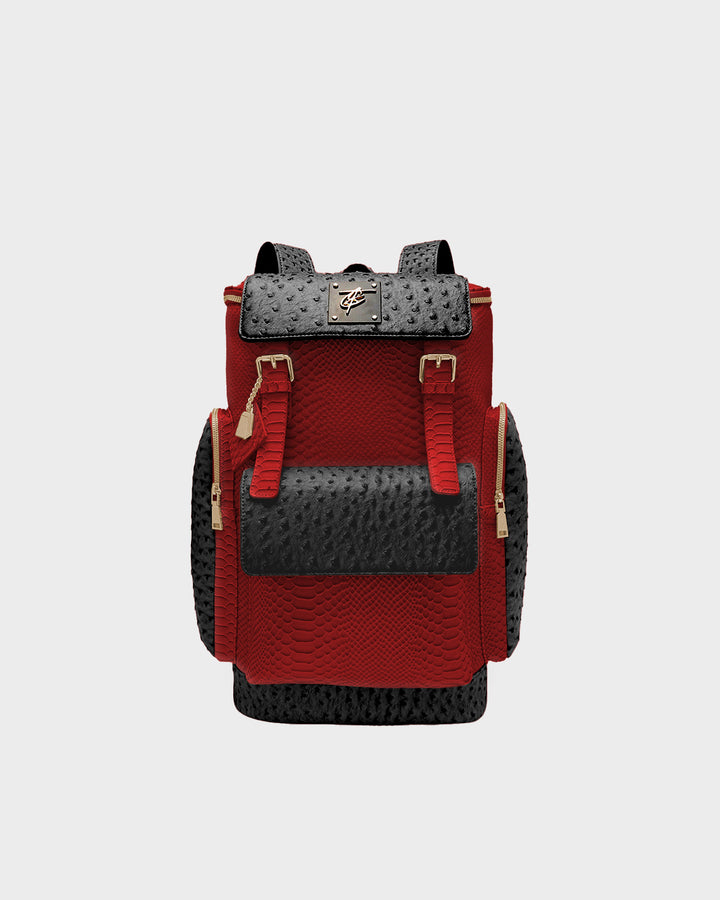 Journey Multi-Pocket Backpack in Black & Red