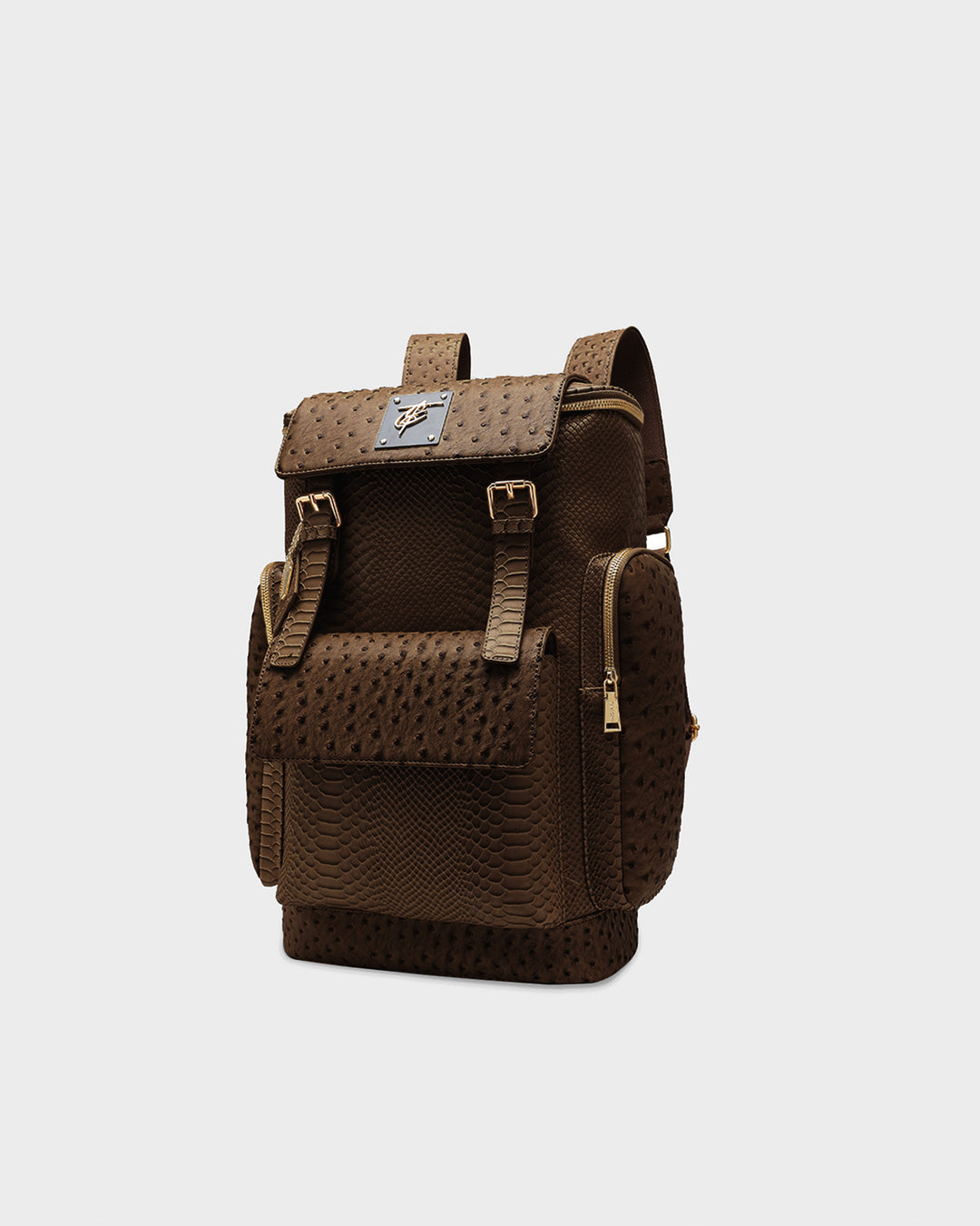 Journey Multi-Pocket Backpack in Brown