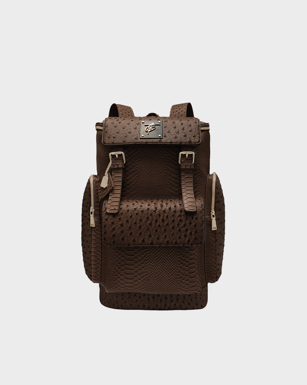 Journey Multi-Pocket Backpack in Brown