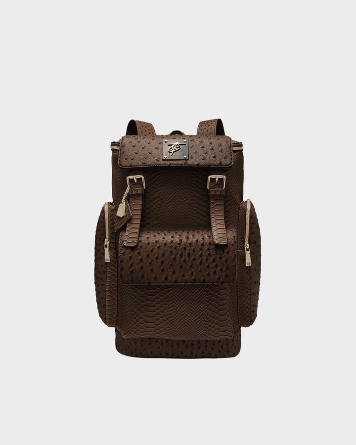 Journey Multi-Pocket Backpack in Brown