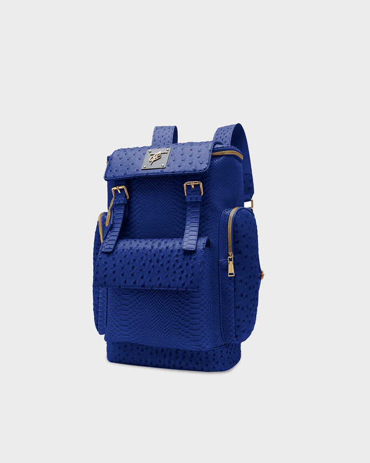 Journey Multi-Pocket Backpack in Royal Blue