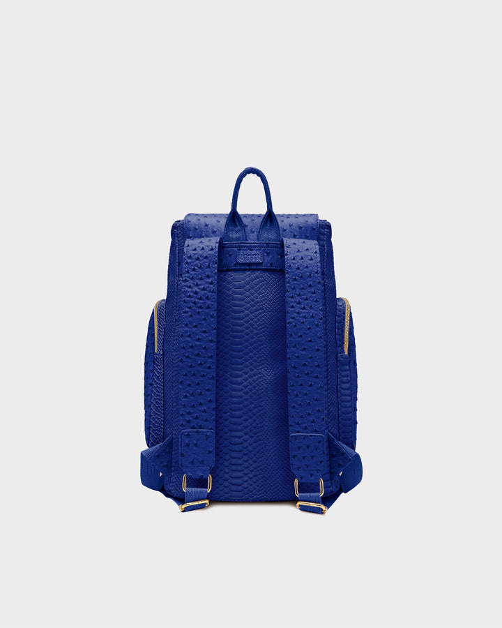 Journey Multi-Pocket Backpack in Royal Blue