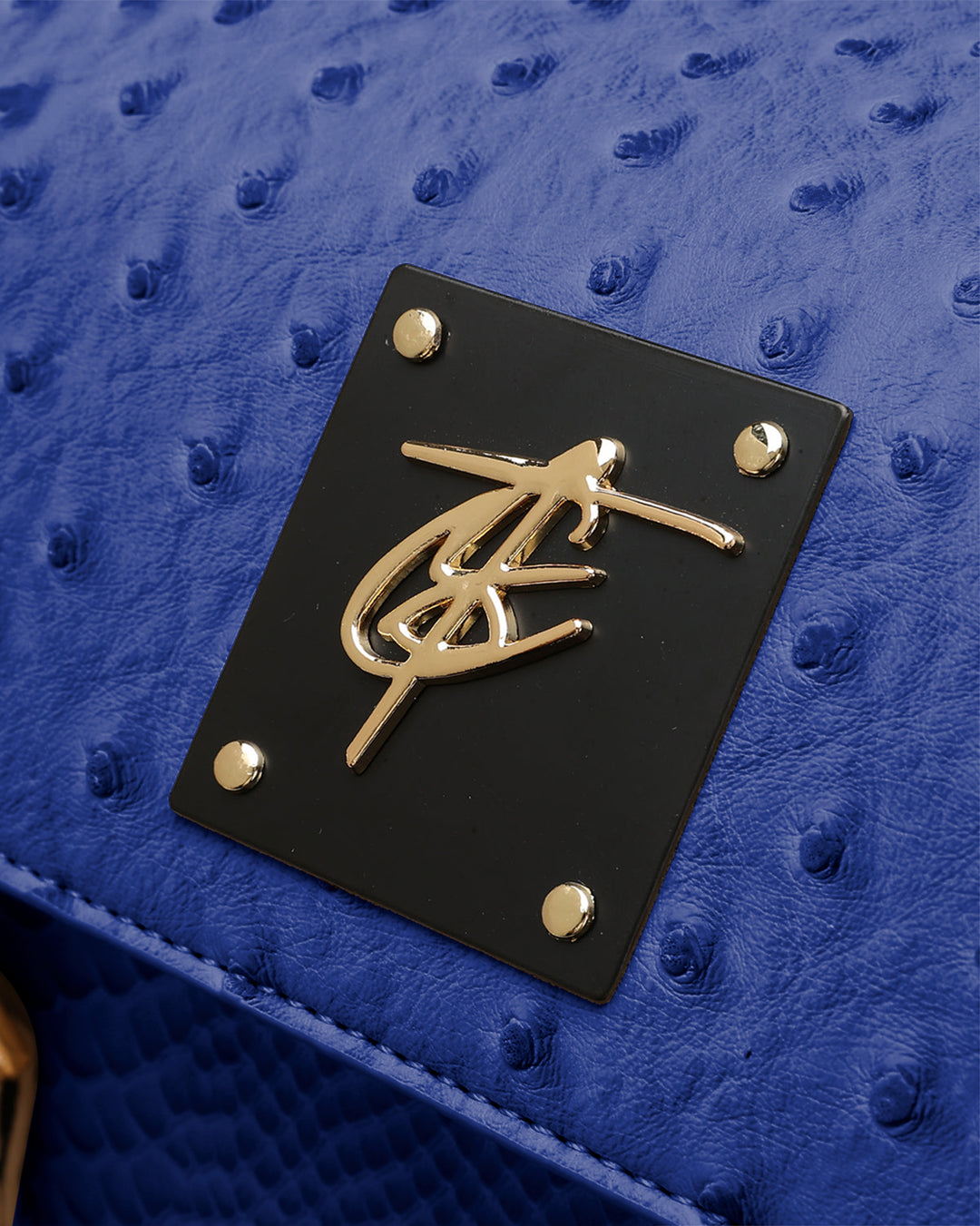 Journey Multi-Pocket Backpack in Royal Blue