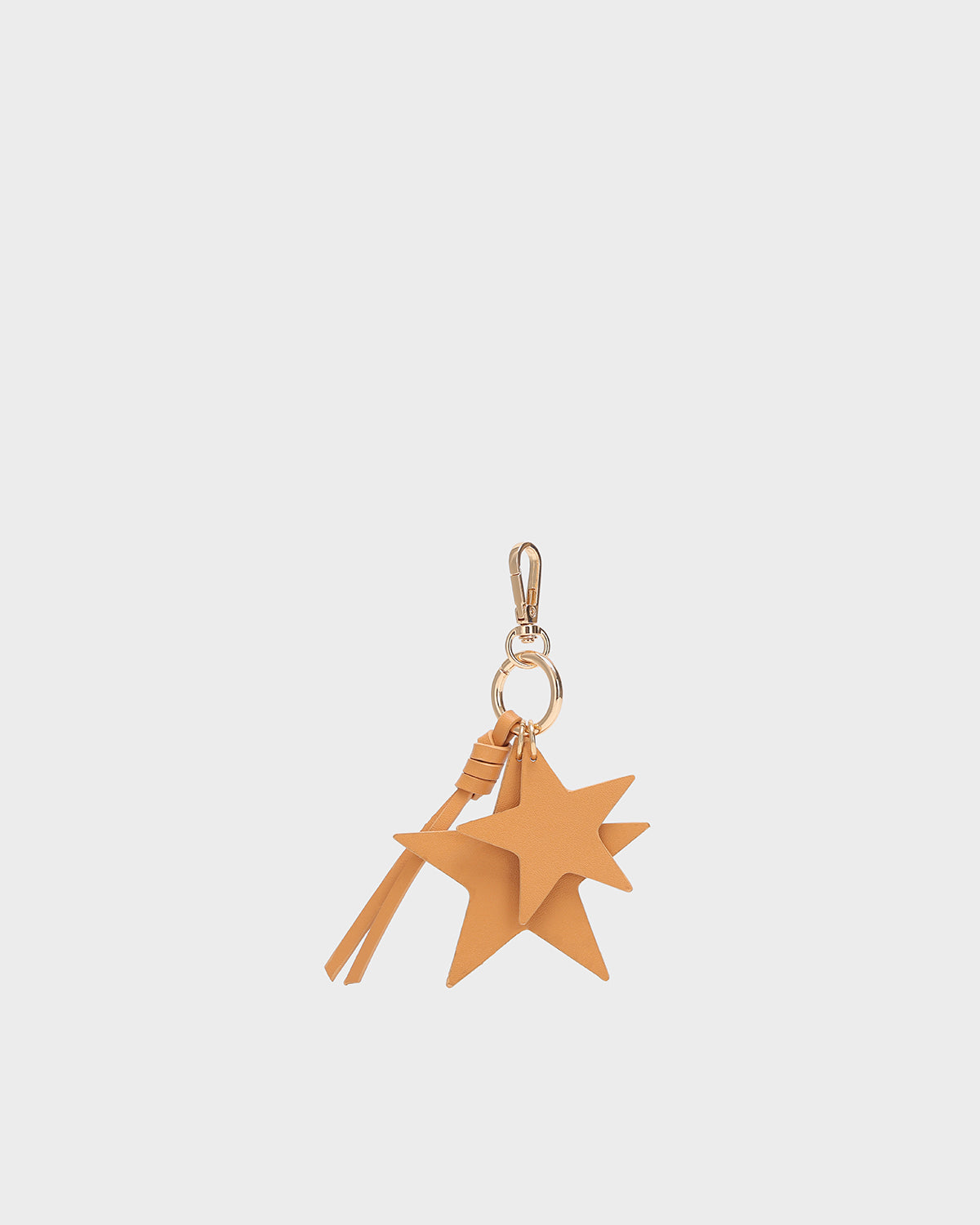Motif Custom Tag