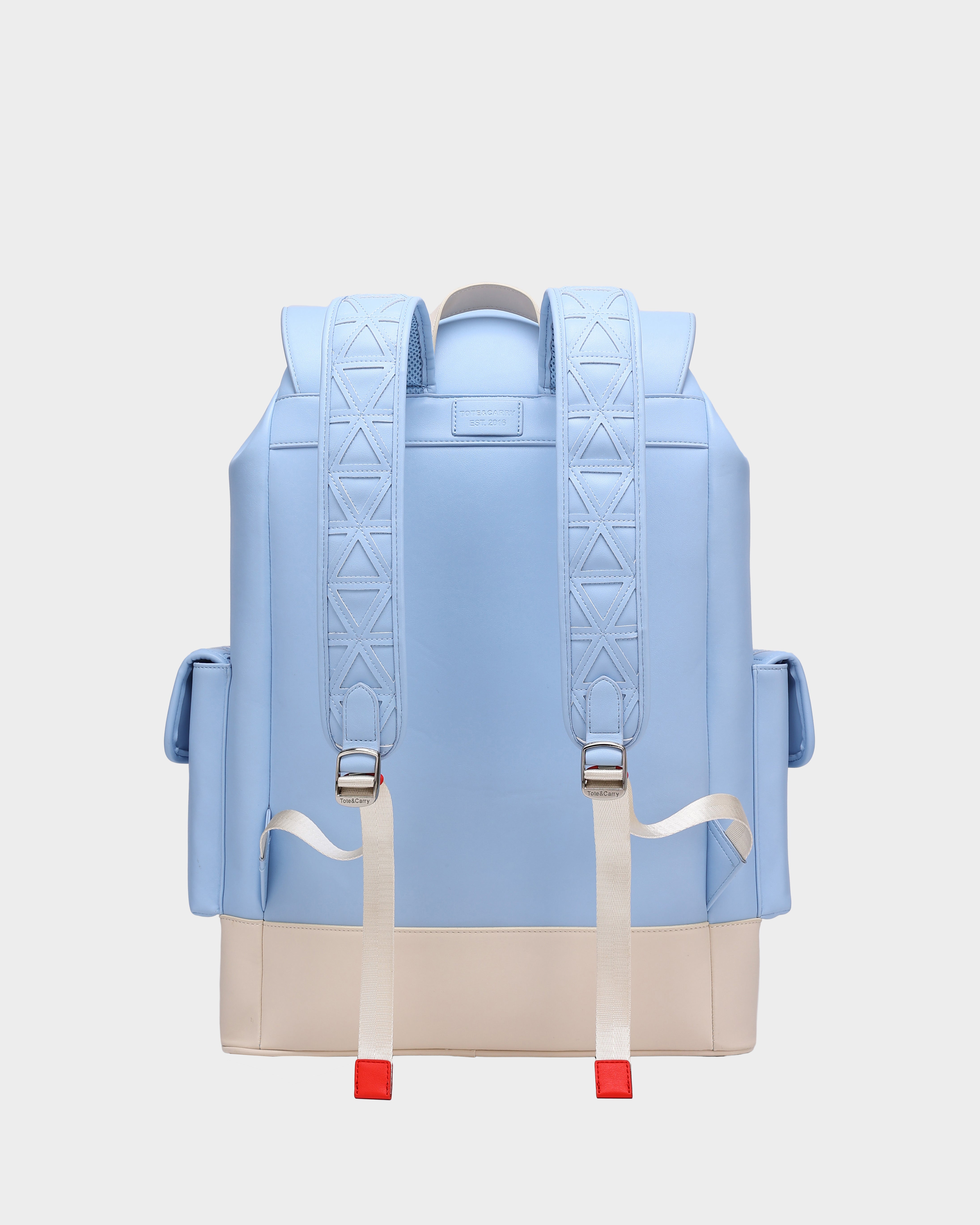 Multiway Jetsetter Backpack in Baby Blue – Tote&Carry