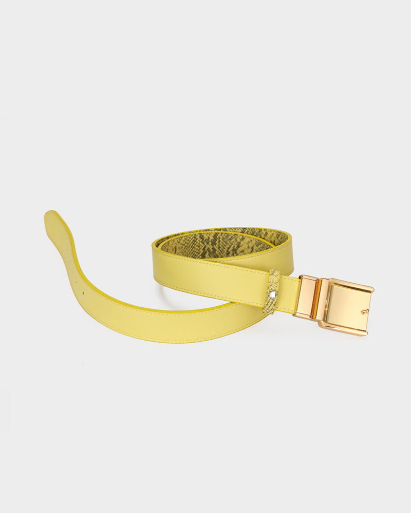 PY Belt in Yellow