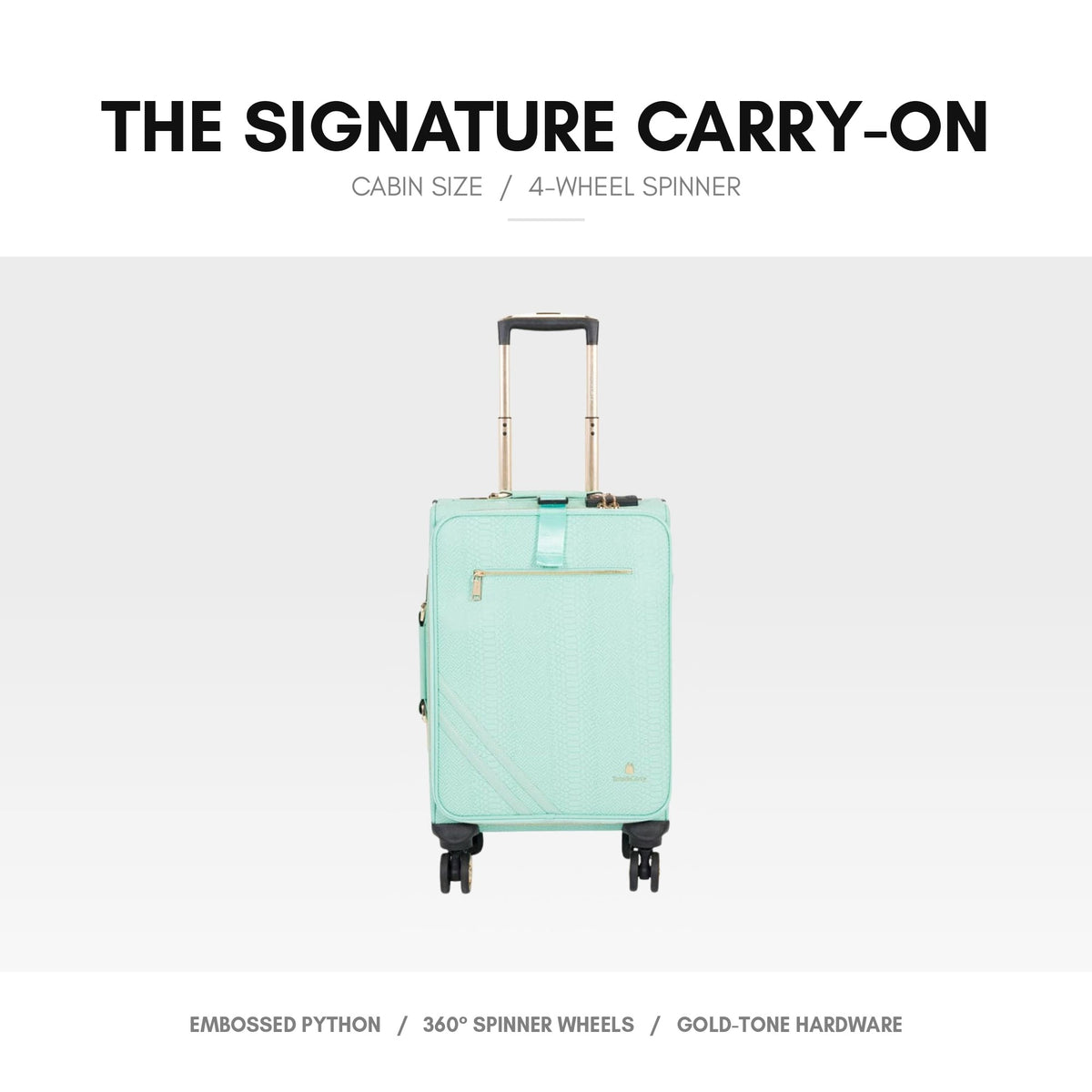 Signature Carry-On in Mint - the suitcase