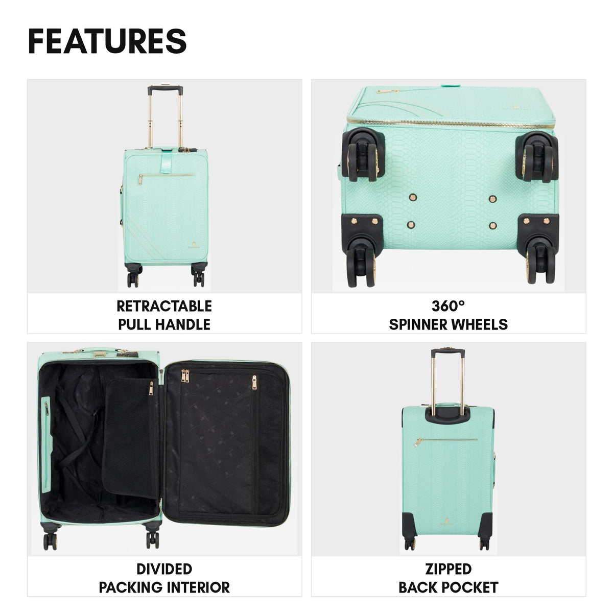 Signature Carry-On in Mint - features