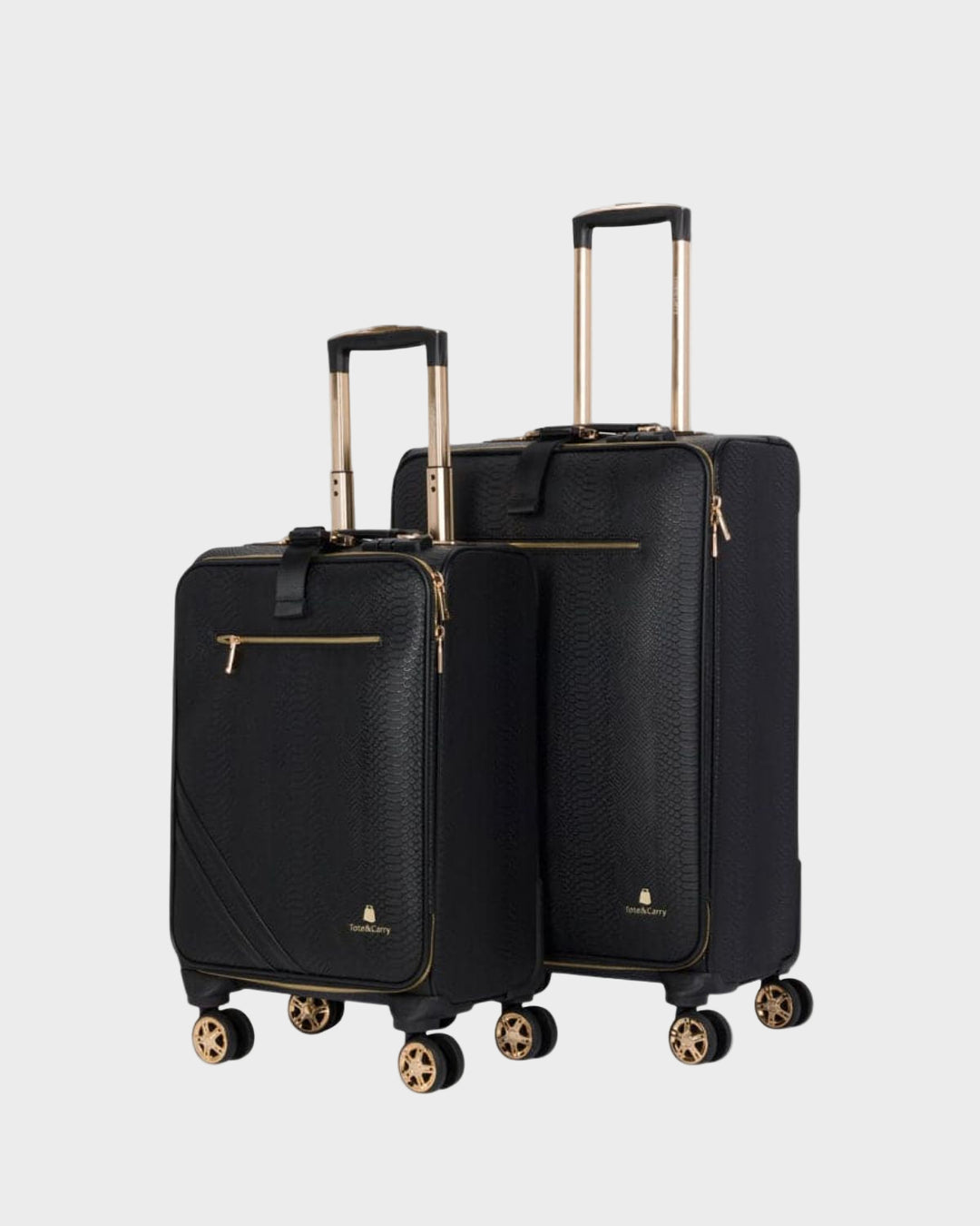 Signature 2-Piece Luggage Set in Black