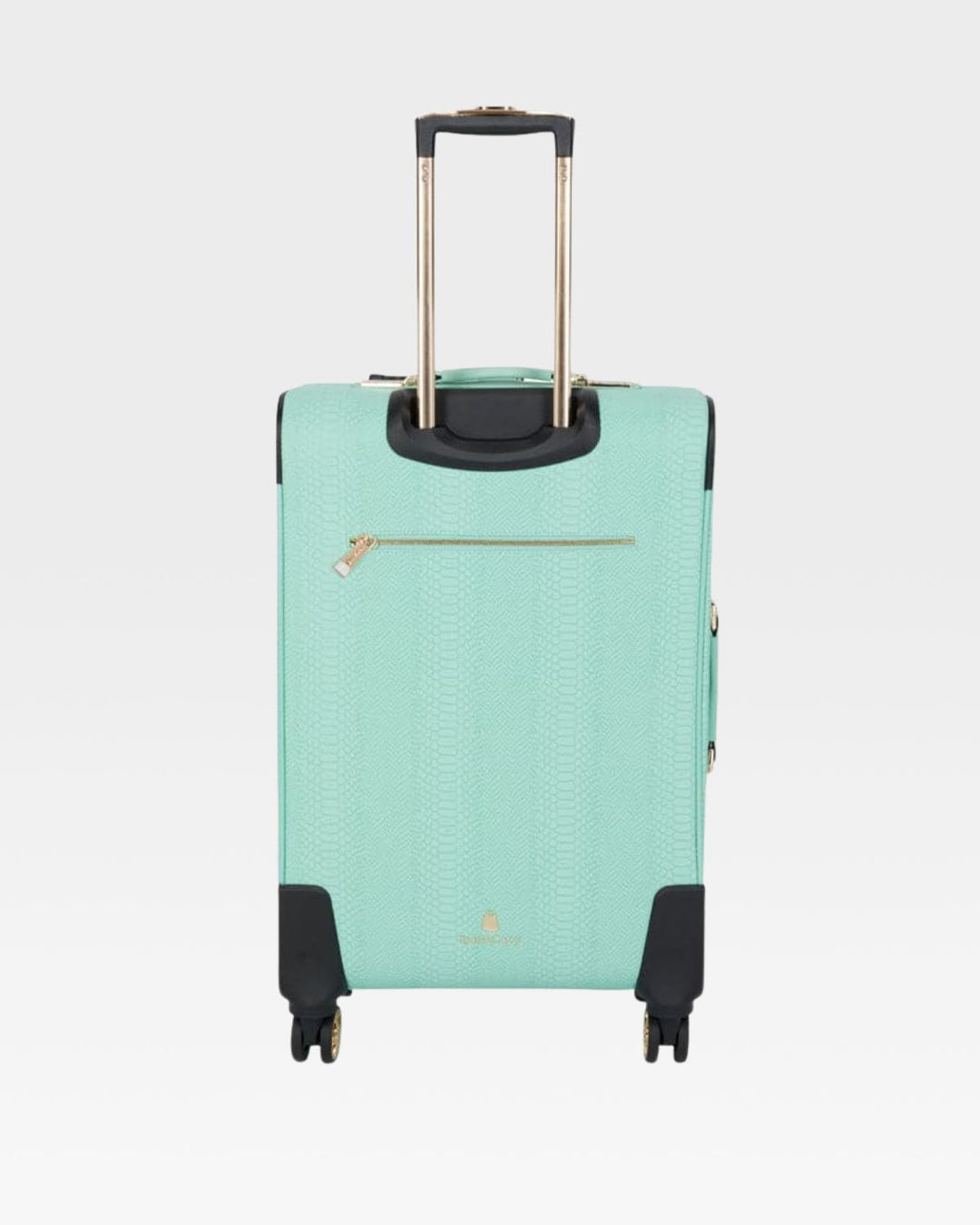 Signature 2-Piece Luggage Set in Mint