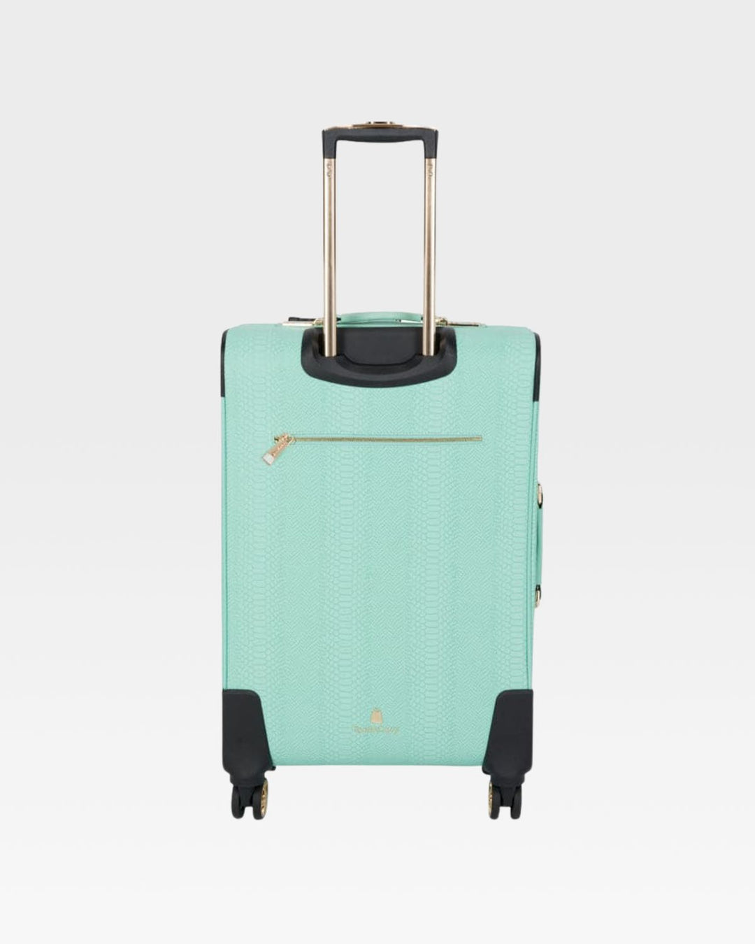 Signature 2-Piece Luggage Set in Mint