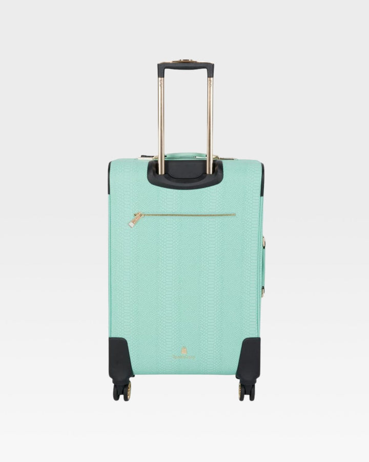 Signature 2-Piece Luggage Set in Mint