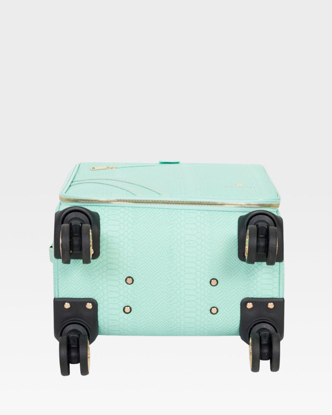 Signature 2-Piece Luggage Set in Mint