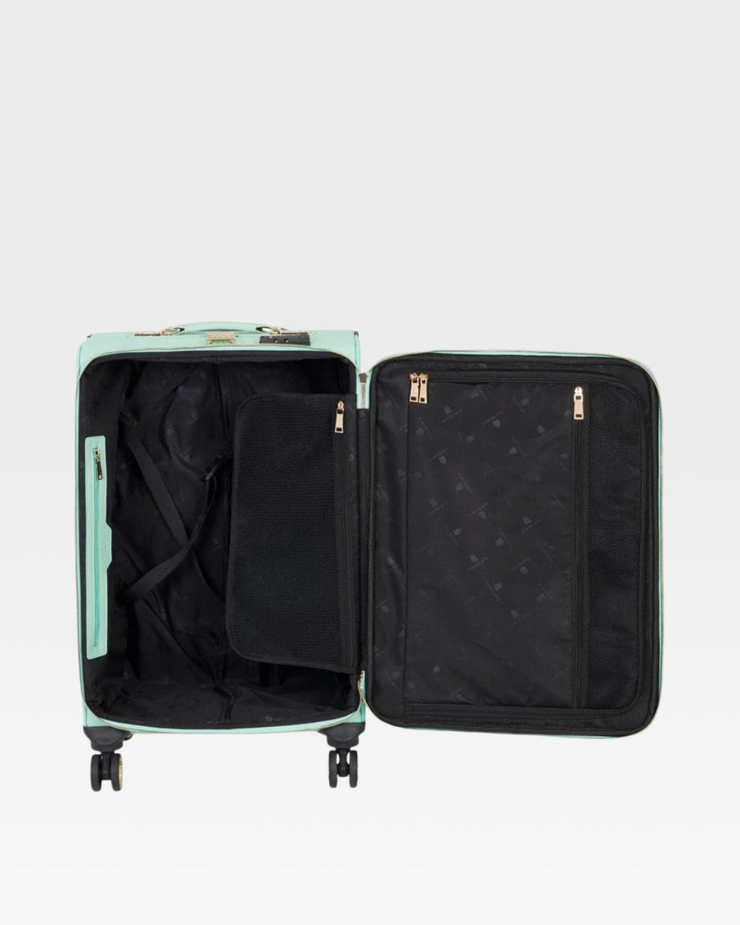 Signature 2-Piece Luggage Set in Mint