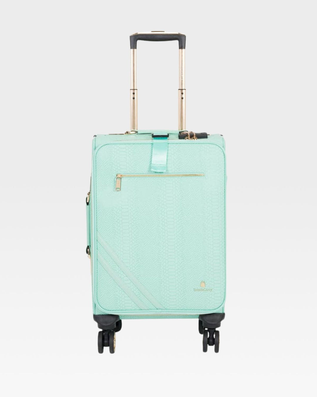 Signature 2-Piece Luggage Set in Mint
