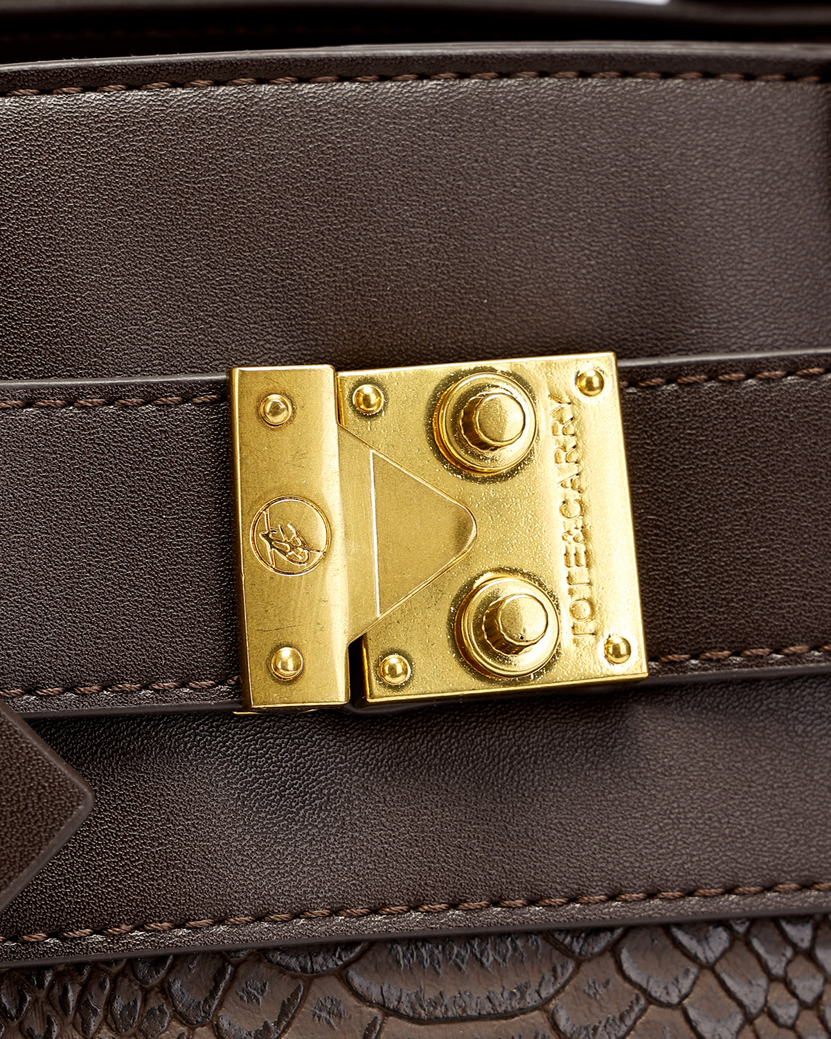 Signature Luxury Prosper Tote In Brown
