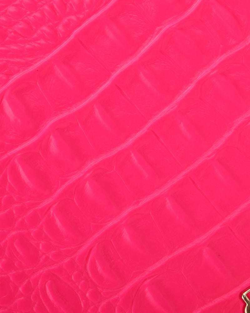 Apollo 2 Suitcase 2 Piece Set in Neon Pink
