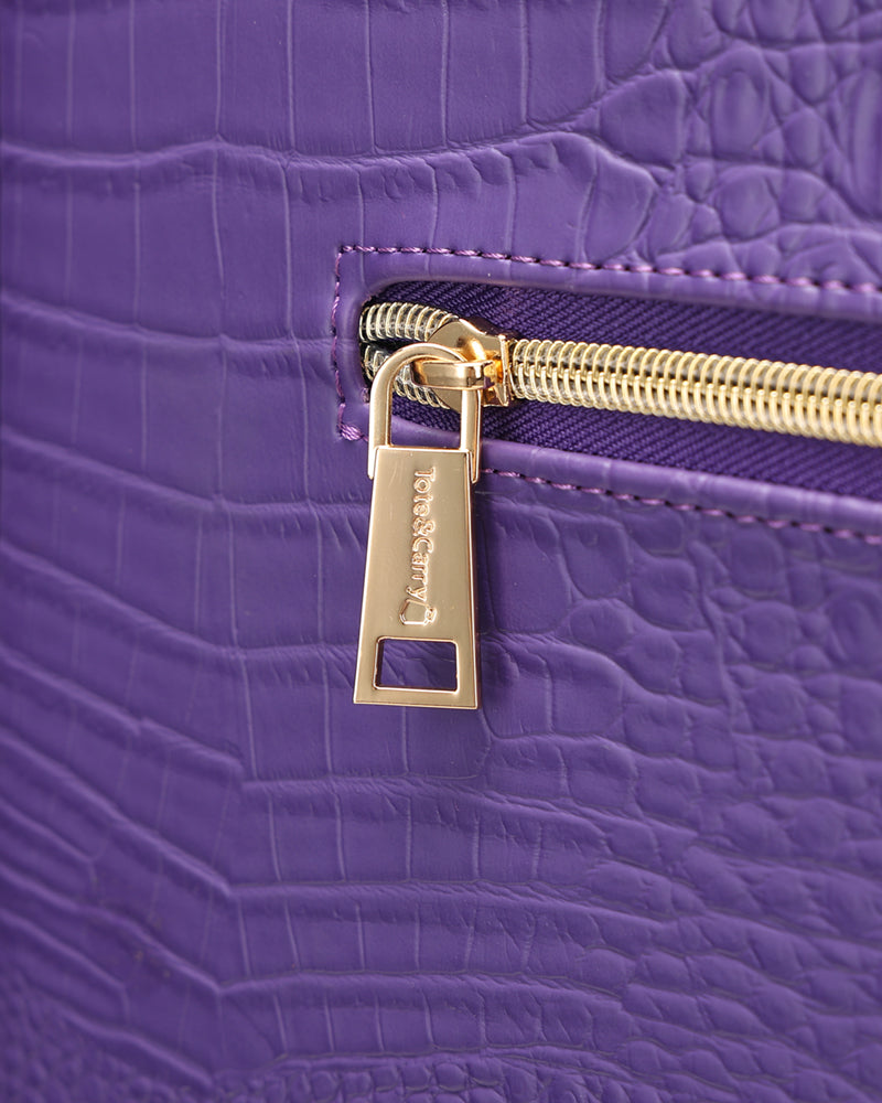 Apollo 2 Suitcase 2 Piece Set in Purple