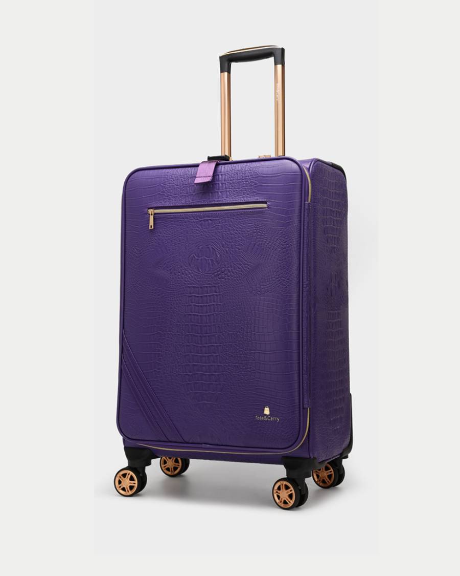 Apollo 2 Suitcase 2 Piece Set in Purple