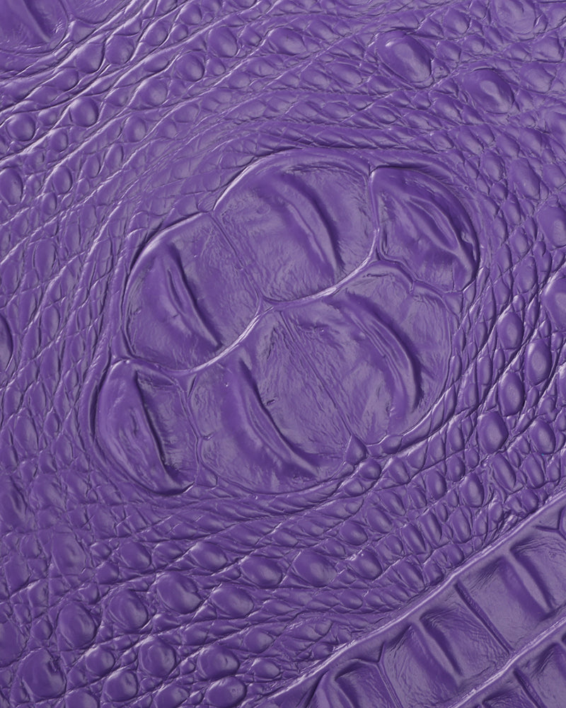 Apollo 2 Suitcase 2 Piece Set in Purple