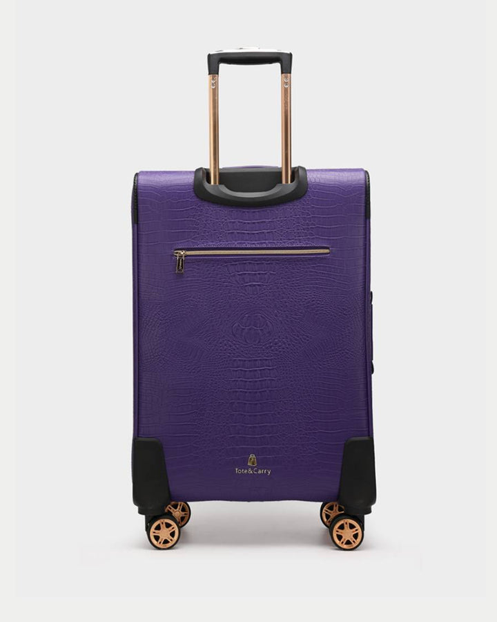 Apollo 2 Suitcase 2 Piece Set in Purple