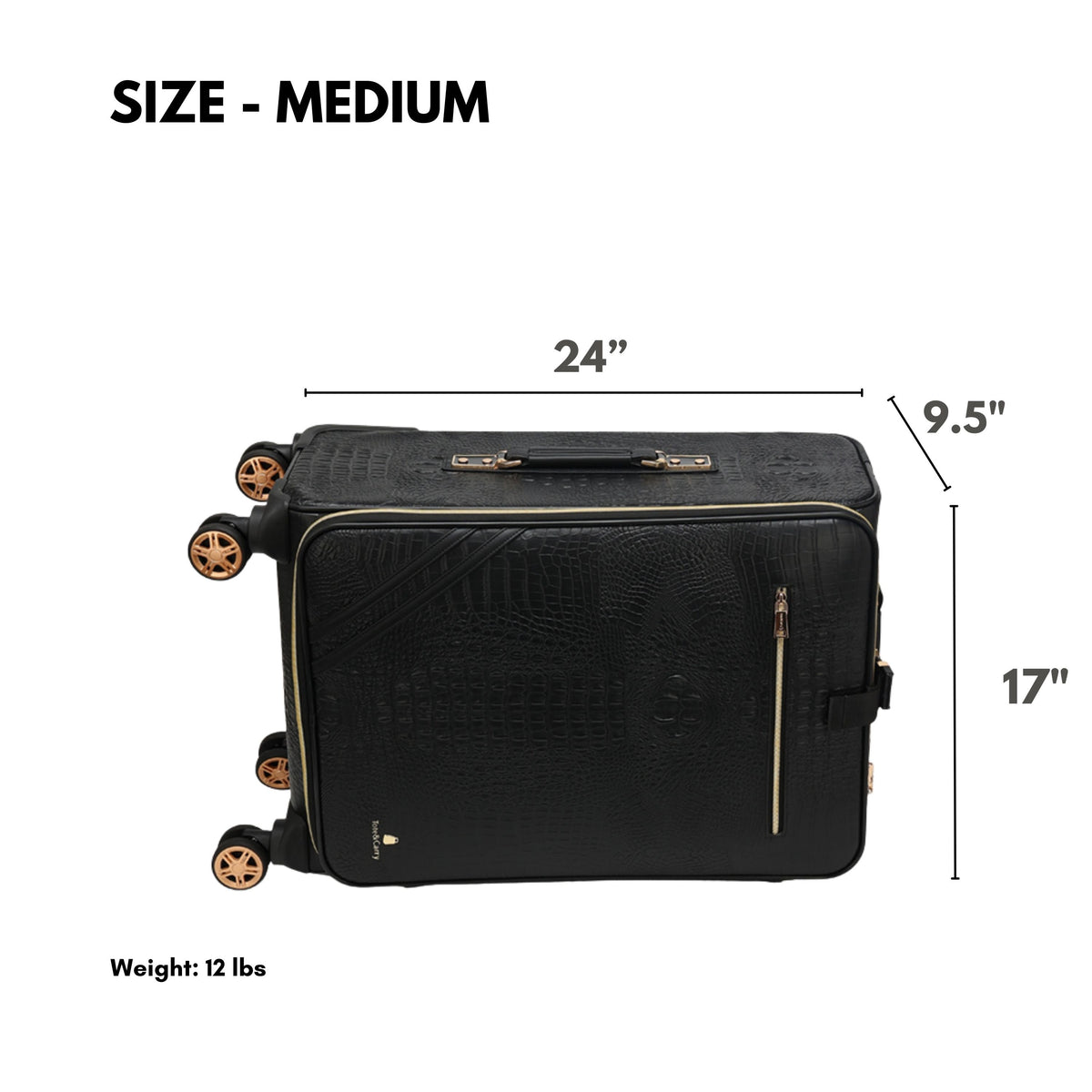 Tote&Carry Statement 2-Piece Luggage Set in Black — medium case size, 24 x 17 x 9.5 inches
