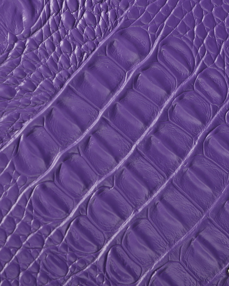 Apollo 2 Suitcase 2 Piece Set in Purple