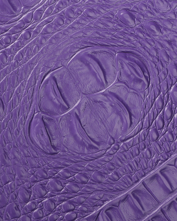 Apollo 2 Suitcase 2 Piece Set in Purple