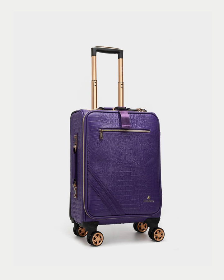 Apollo 2 Suitcase 2 Piece Set in Purple