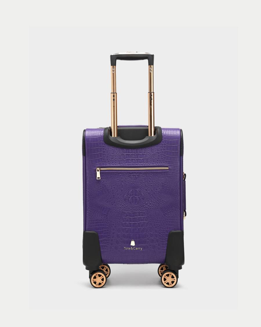 Apollo 2 Suitcase 2 Piece Set in Purple