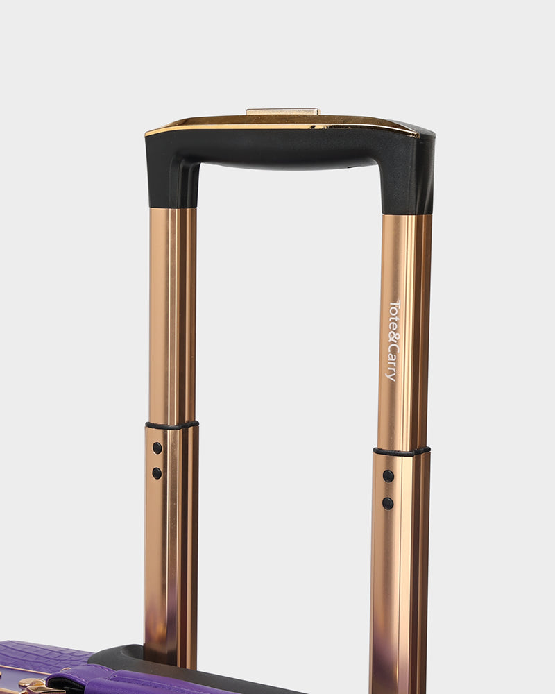 Apollo 2 Suitcase 2 Piece Set in Purple