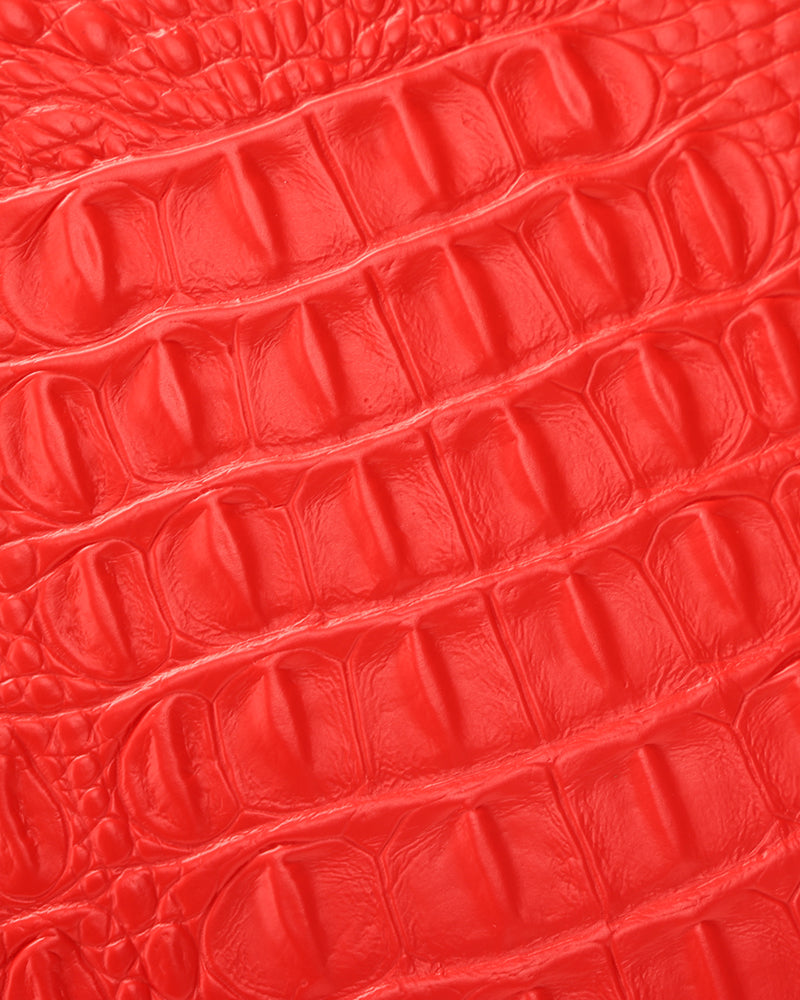 Apollo 2 Suitcase 2 Piece Set in Red