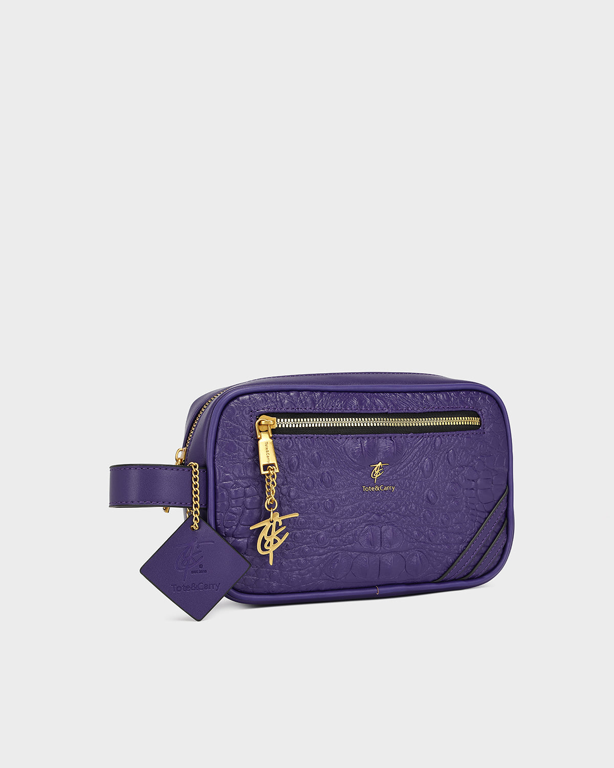 Statement Essential Toiletry Bag in Purple V2