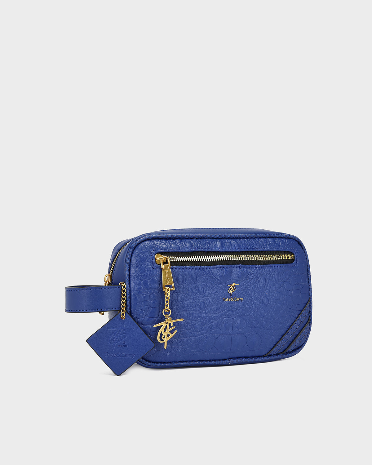 Statement Essential Toiletry Bag in Royal Blue V2