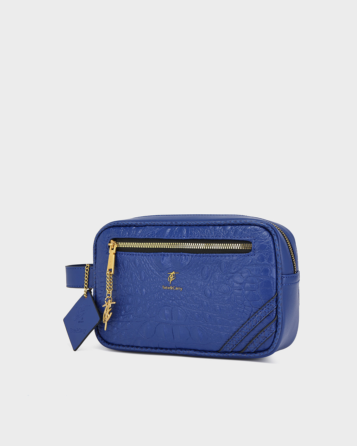 Statement Essential Toiletry Bag in Royal Blue V2