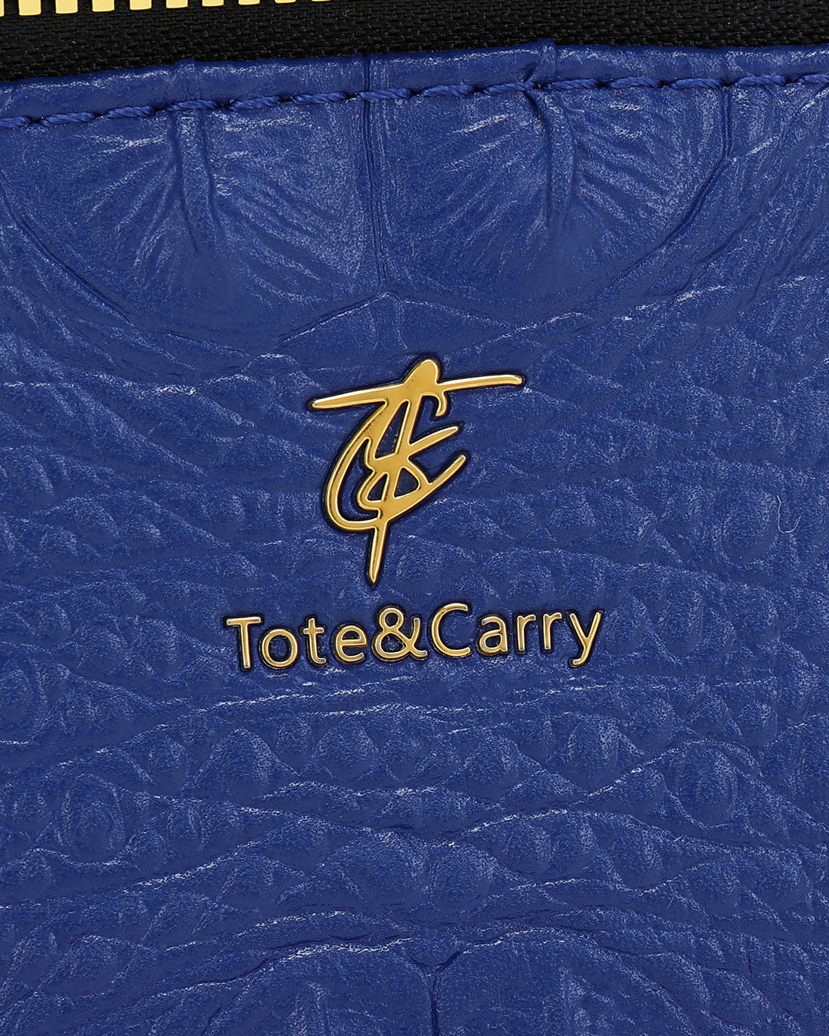 Statement Essential Toiletry Bag in Royal Blue V2